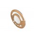 1700647 - Valve Plate, CW Series 45 E Frame