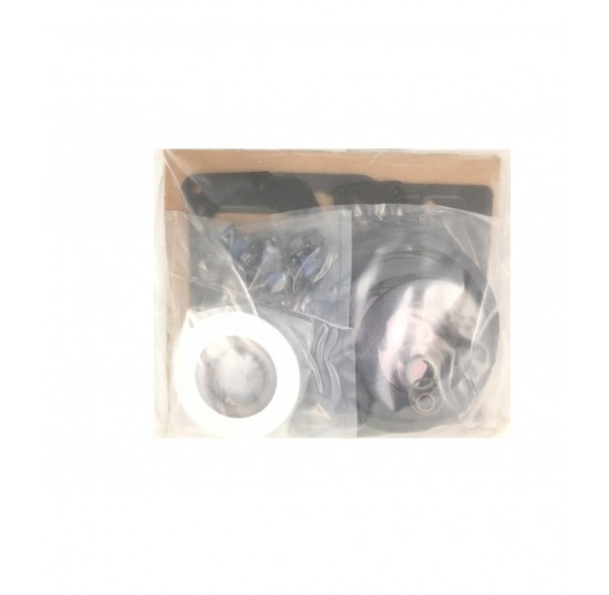 80020S30 - Overhaul Seal Kit 90PV055