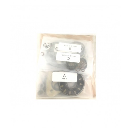 4510018 - Overhaul Seal Kit