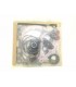 4510066 - Overhaul Seal Kit 42PV28