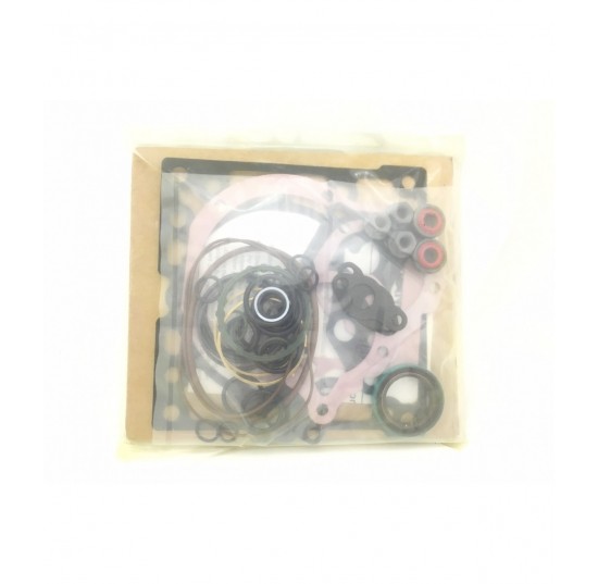 4510066 - Overhaul Seal Kit 42PV28