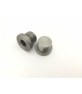 155G5325 - Plug for PVG120 PVP