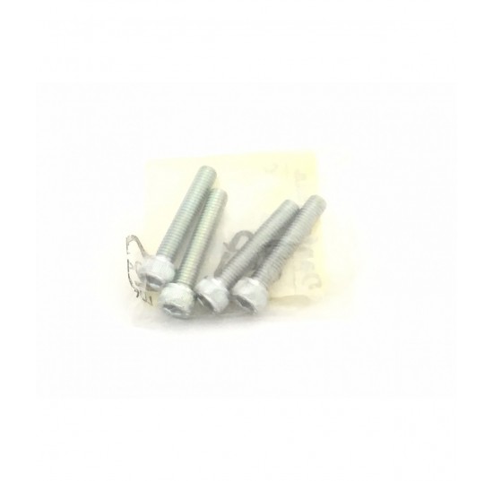 155L4199 - Screw Kit for PVE