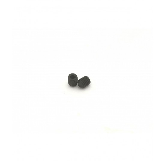 681X3019 - Screw M5 X 6SPK