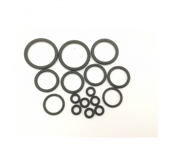 11003451- PVG100 Section Seal Kit