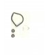11064541- Seal Kit for PVML