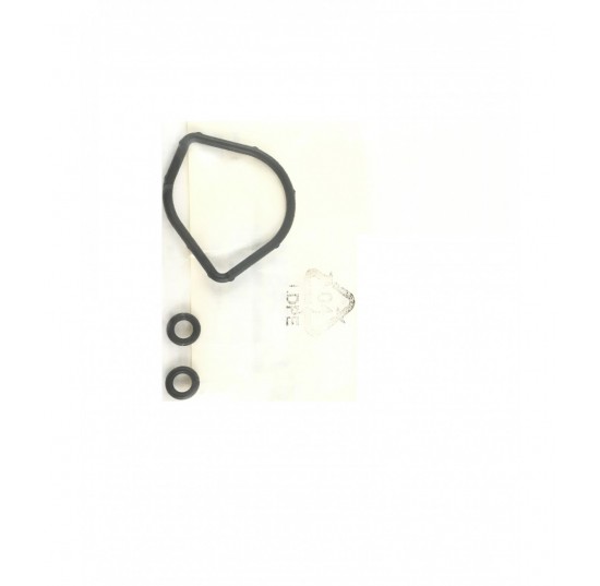 11064541- Seal Kit for PVML