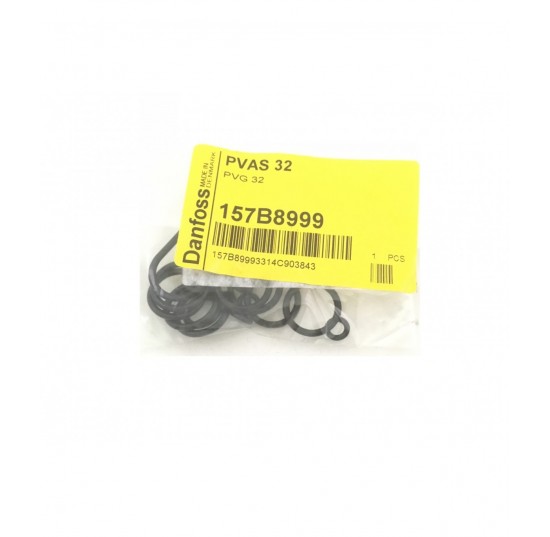 157B8999 - Set of Seal for PVG32 PVAS