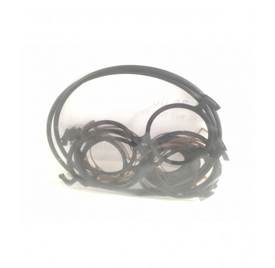221.25.005.0K - Seal kit SNM3/ 01 02 gear motor