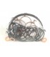 221.25.006.0K - Seal kit SNM3/ 06 07 gear motor