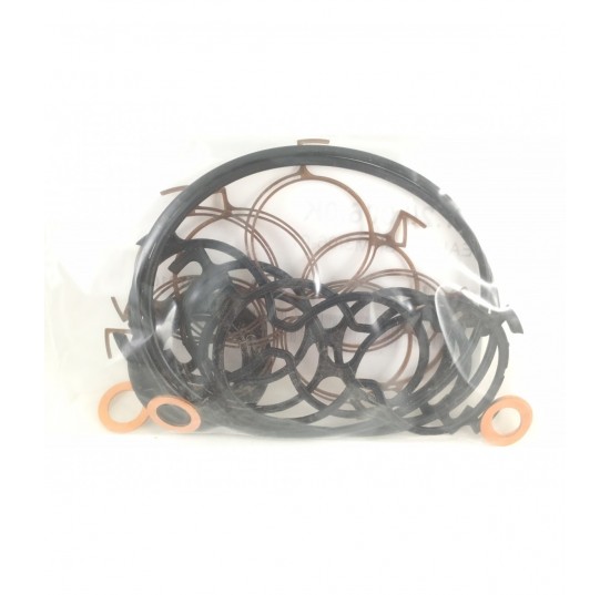 221.25.006.0K - Seal kit SNM3/ 06 07 gear motor
