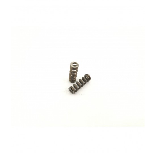155L0354 - Spring for PVMR