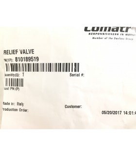 810189419 - Relief Valve
