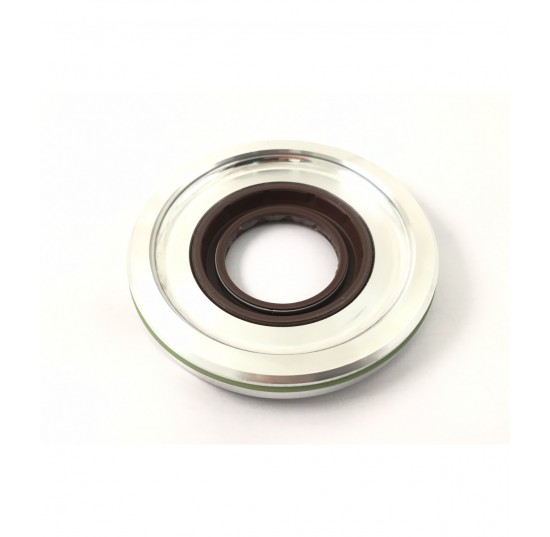 519671 - Seal carrier assembly