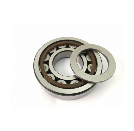 5000505 - Roller Bearing