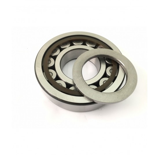 5000506 - Roller Bearing