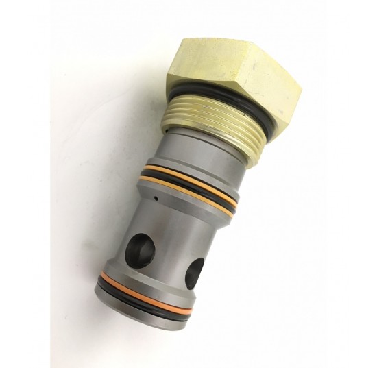 132873 - PO Check Valve CP453
