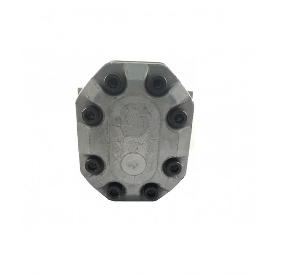 Gear Pump 111.25.055.0C - SNP3NN/90.0