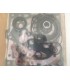 4510141 - Overhaul Seal Kit
