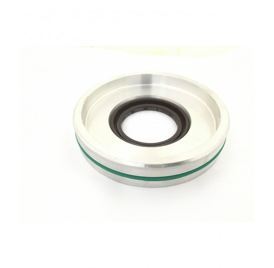 11053971 - Seal carrier assembly