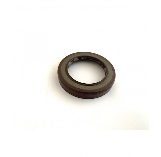 519666 - Lip Seal