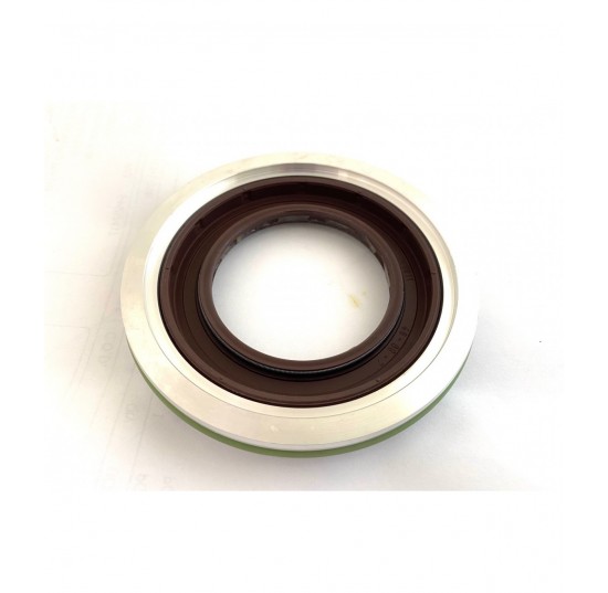 11043910 - Shaft seal kit for H1P089-100