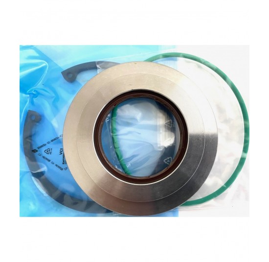 11156592 - Shaft Seal kit for D1P145