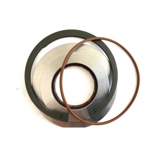 11153194 - Shaft Seal kit for D1P193