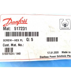 517231 - Screw HEX