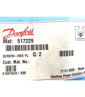 517229 - Screw HEX