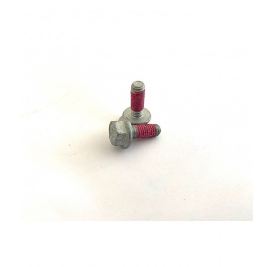 517229 - Screw HEX