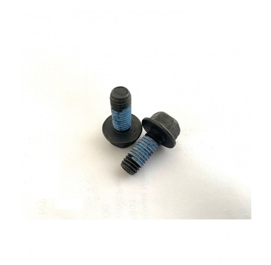 5000206 - Screw HEX