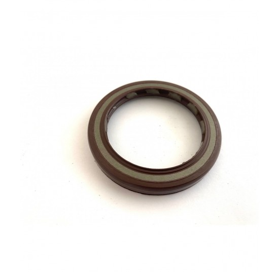 519021 - Lip Seal