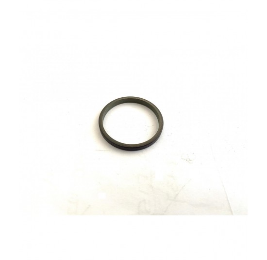 508134 -Servo piston seal ring