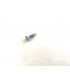 509527 - Screw Socket