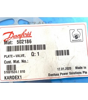 502186 - Valve plate