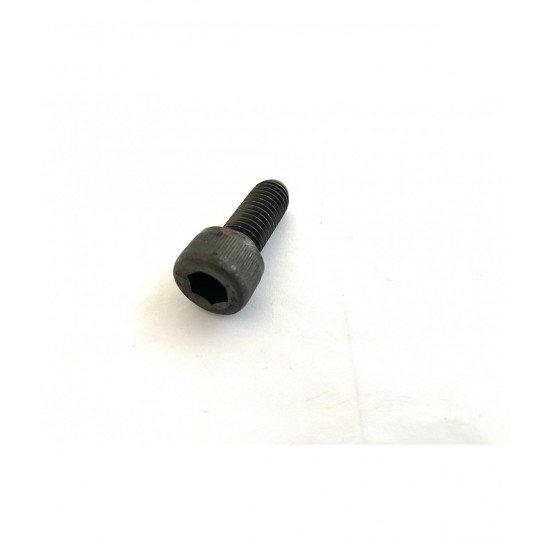 5000489 -Screw