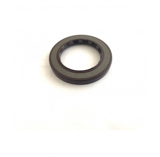 11013519 - Lip Seal