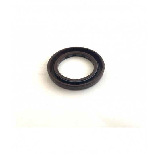 11013519 - Lip Seal
