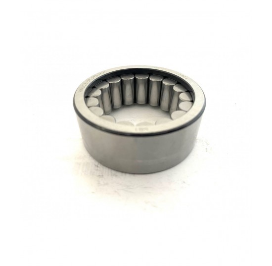 11129442 - Rear Shaft Bearing D1P130 D1P145
