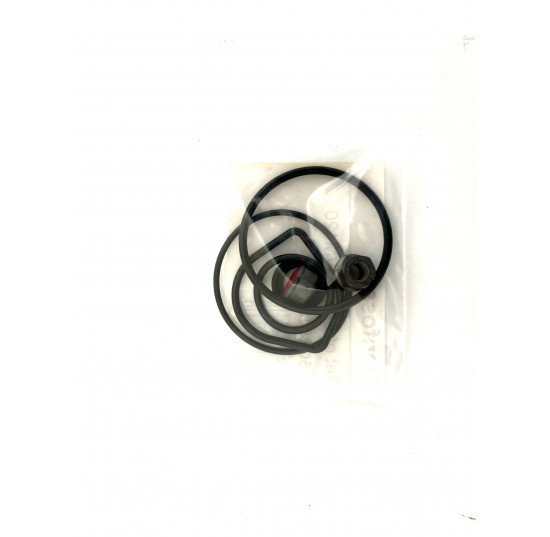 155G8518 - Set of seals for PVG 120 PVM