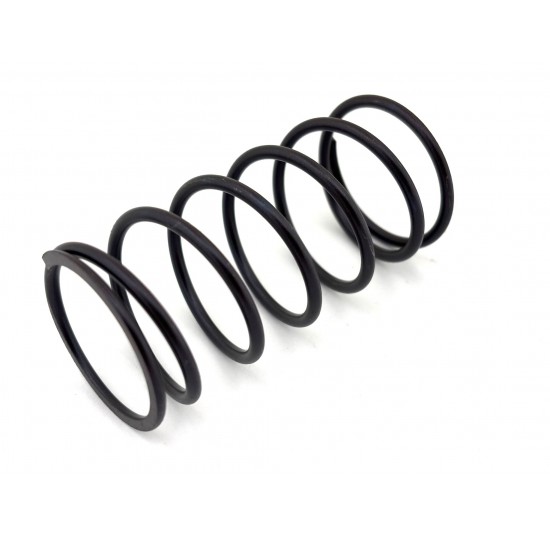 1700050 - Bias Spring
