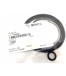 PT666300 - DT Seal kit