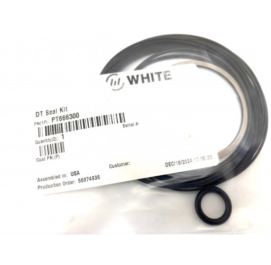 PT666300 - DT Seal kit